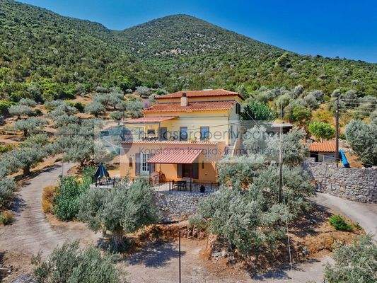 e7feddb5c05d4e1ab0101c5f6a20db91-original