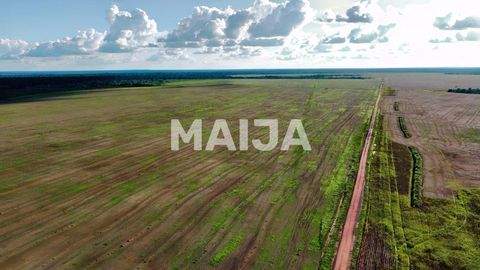 Alta Floresta Bauernhöfe, Landwirtschaft, Alta Floresta Forstwirtschaft