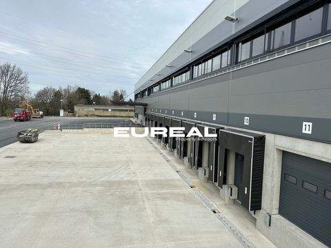 Köln Halle, Köln Hallenfläche