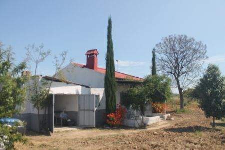 Hinojos Bauernhöfe, Landwirtschaft, Hinojos Forstwirtschaft