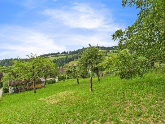 CAM04191G0-PR0040-STILL010