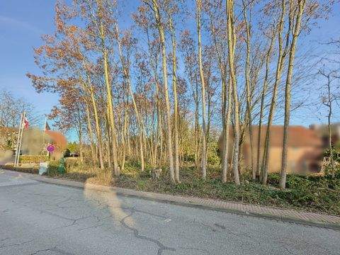 Wittenborn Grundstücke, Wittenborn Grundstück kaufen