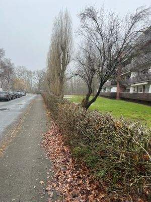 WhatsApp Image 2026-02-07 at 11.42.37 (8)