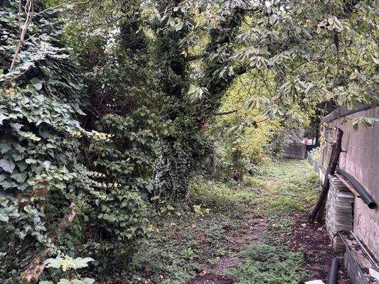 Grünes Refugium im Hof