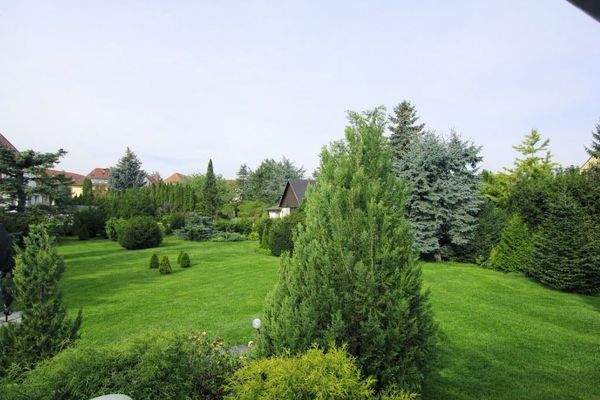 Blick vom Wintergarten  in den Garten