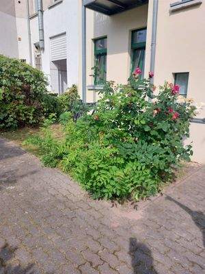 Blick vom Innenhof zur Wohnung