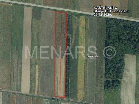 Jalzabet Bauernhöfe, Landwirtschaft, Jalzabet Forstwirtschaft