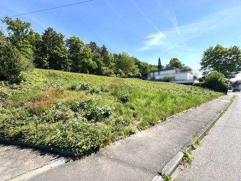 Petersberg-Steinau Grundstücke, Petersberg-Steinau Grundstück kaufen