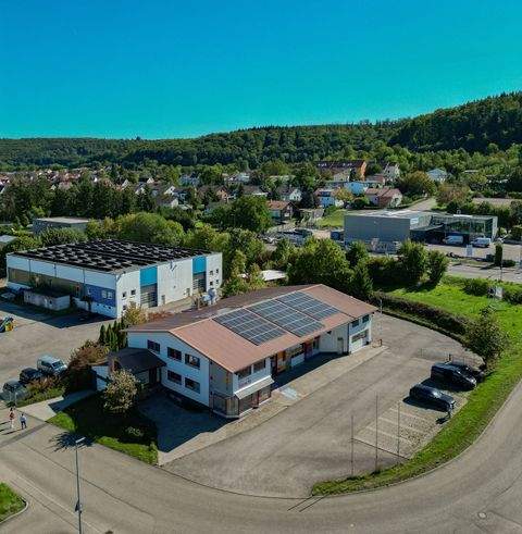Lauchheim Halle, Lauchheim Hallenfläche