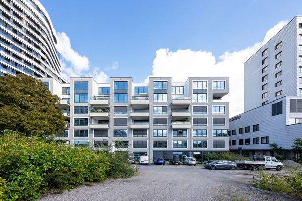 Impression RKM 740 / Rheinkilometer 740