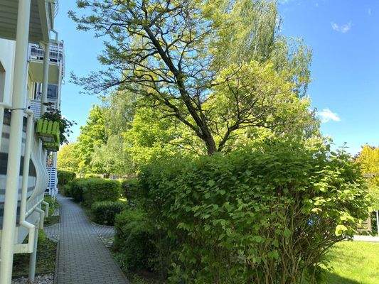 Grünanlage hinter dem Haus