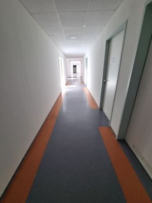 20250324_164551