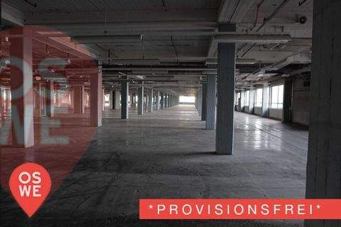 Frankfurt am Main Halle, Frankfurt am Main Hallenfläche