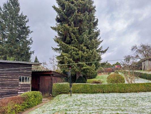 Weitläufiger Garten