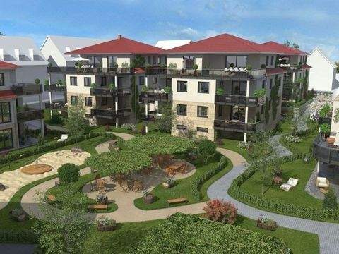 Freinsheim Wohnungen, Freinsheim Wohnung mieten