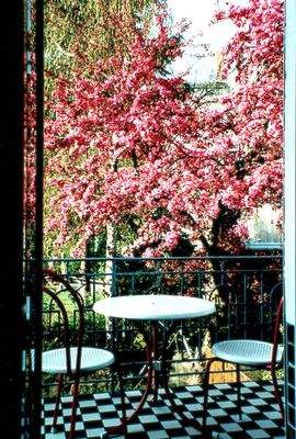 Blick aus der Küche