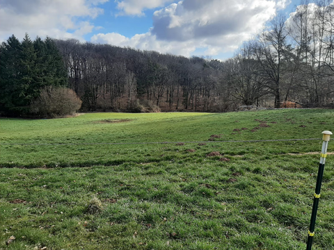Waldmohr Grundstücke, Waldmohr Grundstück kaufen