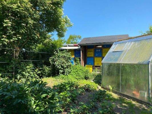 Garten, Gewächshaus