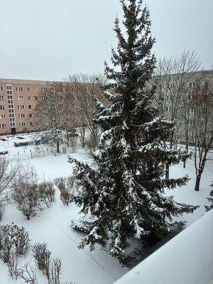 Blick in den winterlichen Hof