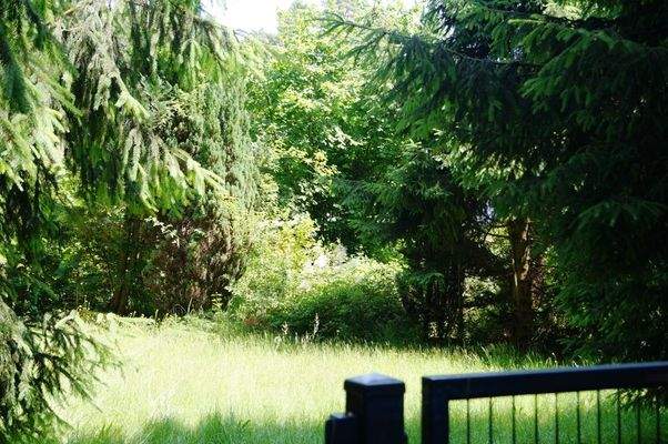 Grundstück vorderer Bereich