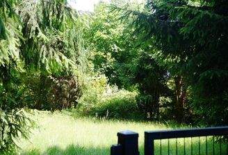 Grundstück vorderer Bereich