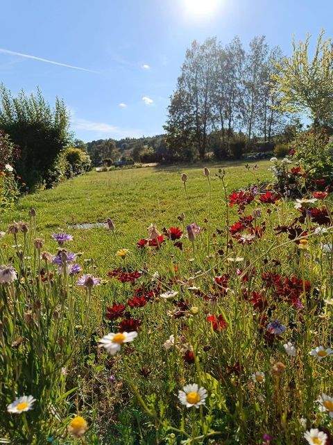 Bad Steben Grundstücke, Bad Steben Grundstück kaufen