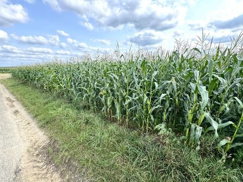 Euskirchen Bauernhöfe, Landwirtschaft, Euskirchen Forstwirtschaft