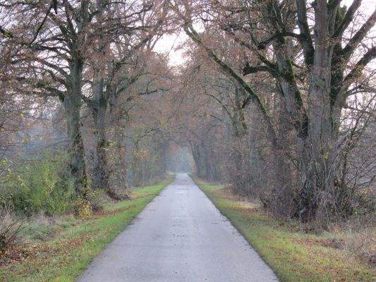 öffentliche Zufahrt über eigene Allee 