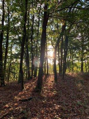 Naherholungsgebiet Fichtel