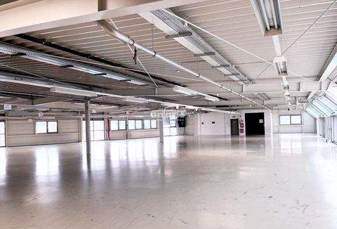 Erfurt Halle, Erfurt Hallenfläche