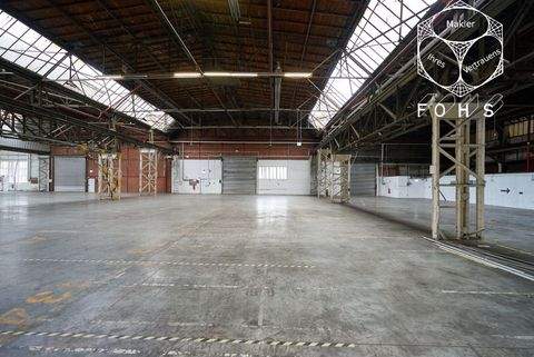 Bochum Halle, Bochum Hallenfläche