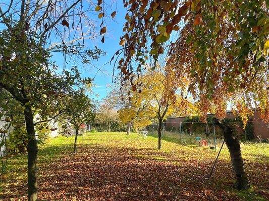 Ganz viel Platz für Hobby und Co