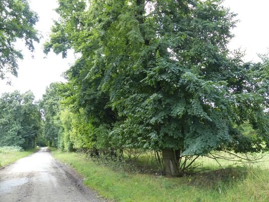 Knoblaucher Chaussee nörli.