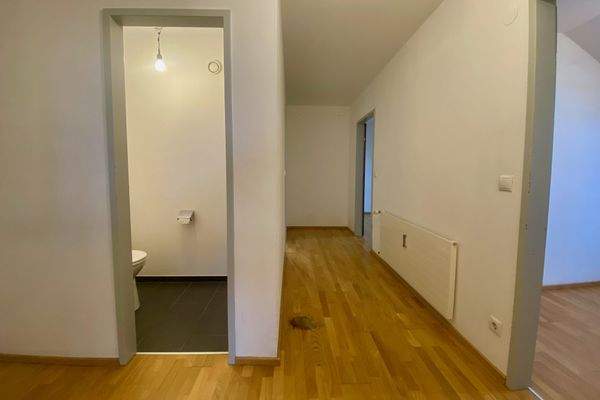 IMG_5389 verkleinert.jpeg