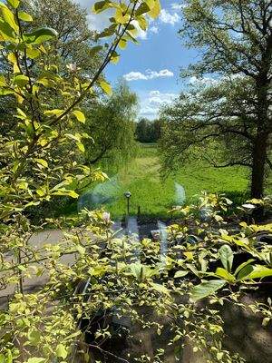 Ausblick aus Wohnküche