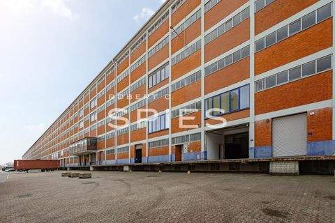 Bremen Halle, Bremen Hallenfläche