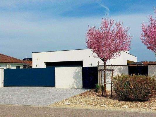 1740042373728 (1).jpg