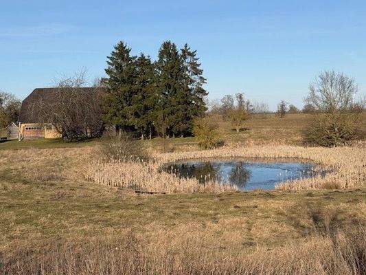 Grundstück mit Naturteich