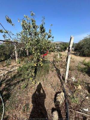 WhatsApp Image 2024-09-06 at 10.30.37 (3).jpeg