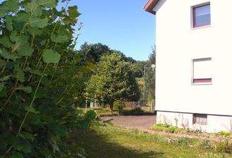 Blick in den Garten