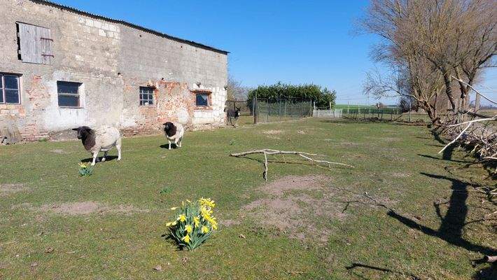ehemaliger Kleinwagenbahnhof