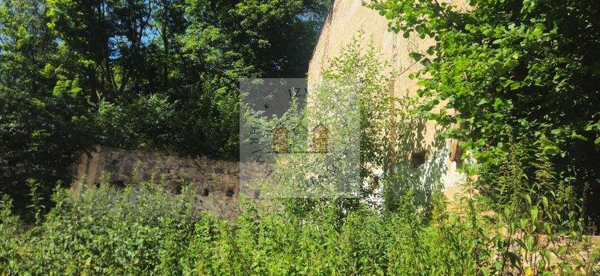 WhatsApp Image 2025-07-02 at 13.09.11 (1)