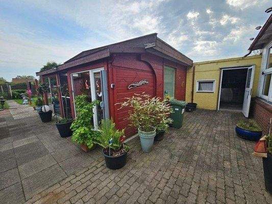 20250502_172011 (800x600).jpg