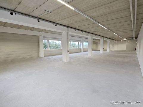 Dornbirn Halle, Dornbirn Hallenfläche