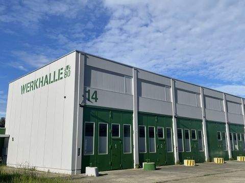 Engstingen Halle, Engstingen Hallenfläche