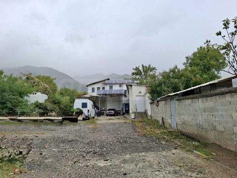 Sopot Halle, Sopot Hallenfläche