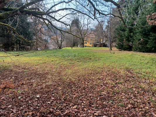 551bbe0a-99df-41ef-ad66-a95139fe40aa