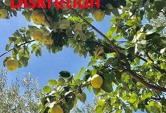 Immobilie in diskreten Verkauf