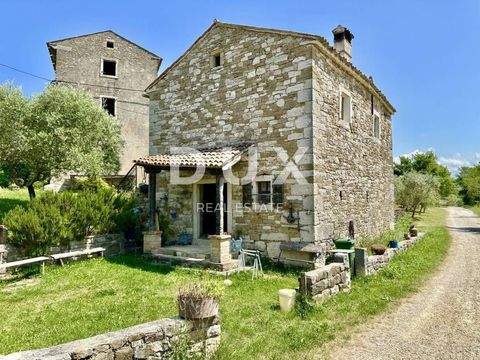 Buje Häuser, Buje Haus kaufen