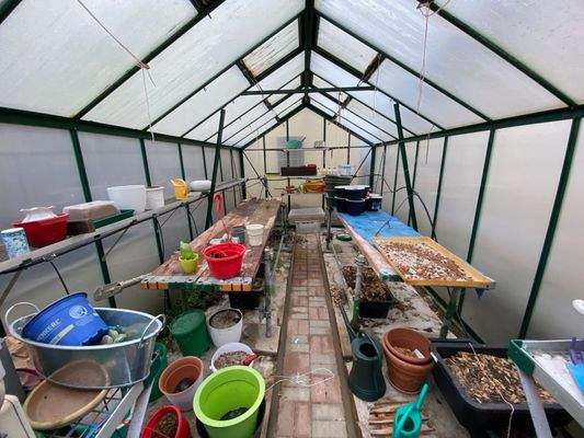 hochwertiges und geräumiges Gewächshaus.jpeg